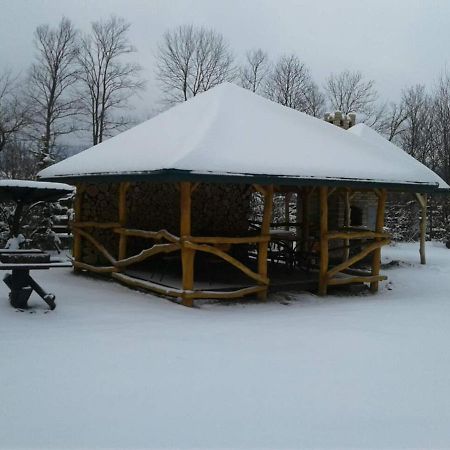 Karpaty Viking Nizhneye Sinevidnoye Exterior foto