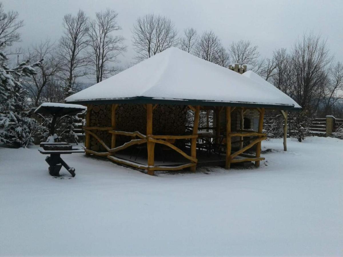 Karpaty Viking Nizhneye Sinevidnoye Exterior foto