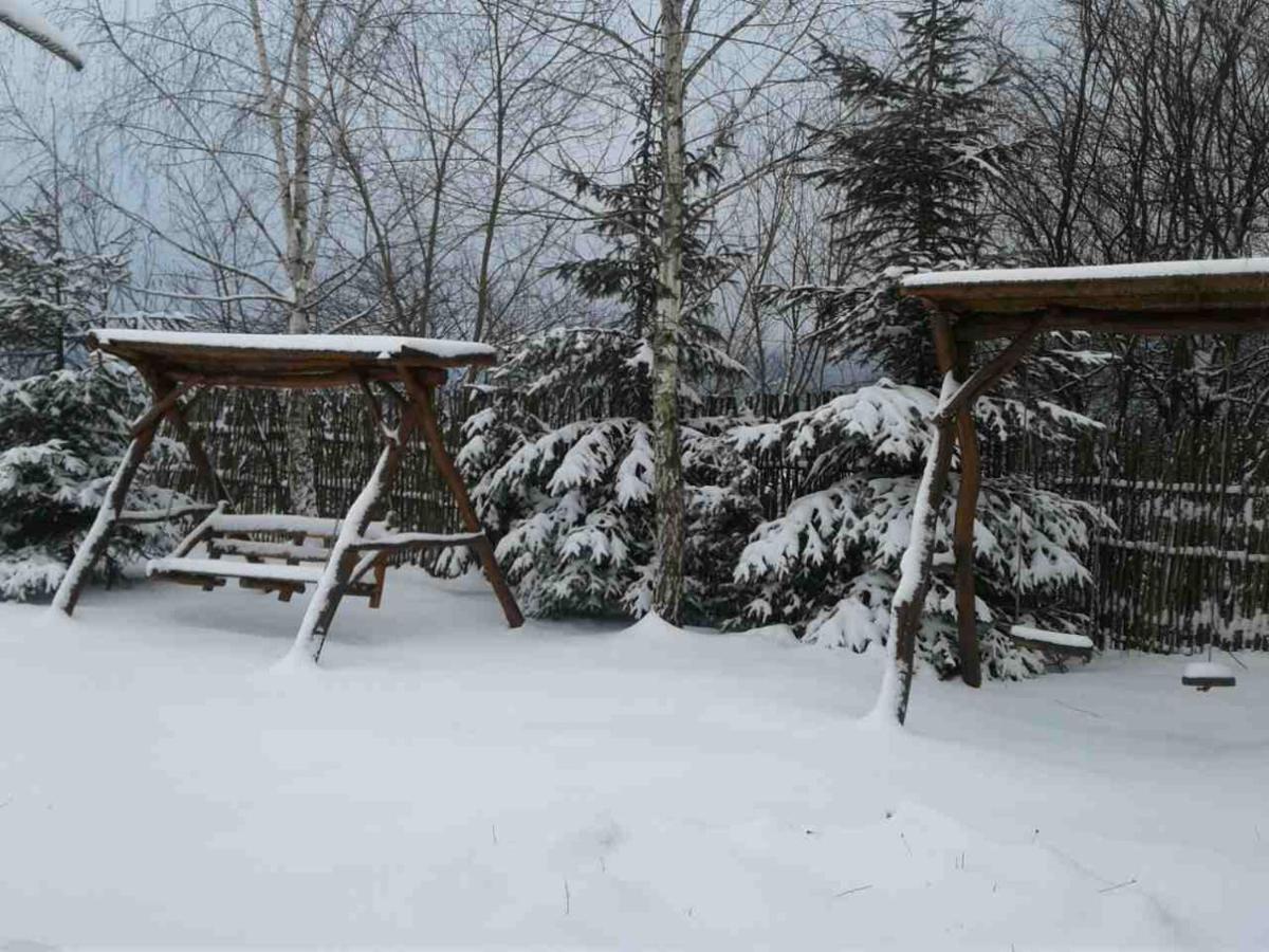 Karpaty Viking Nizhneye Sinevidnoye Exterior foto