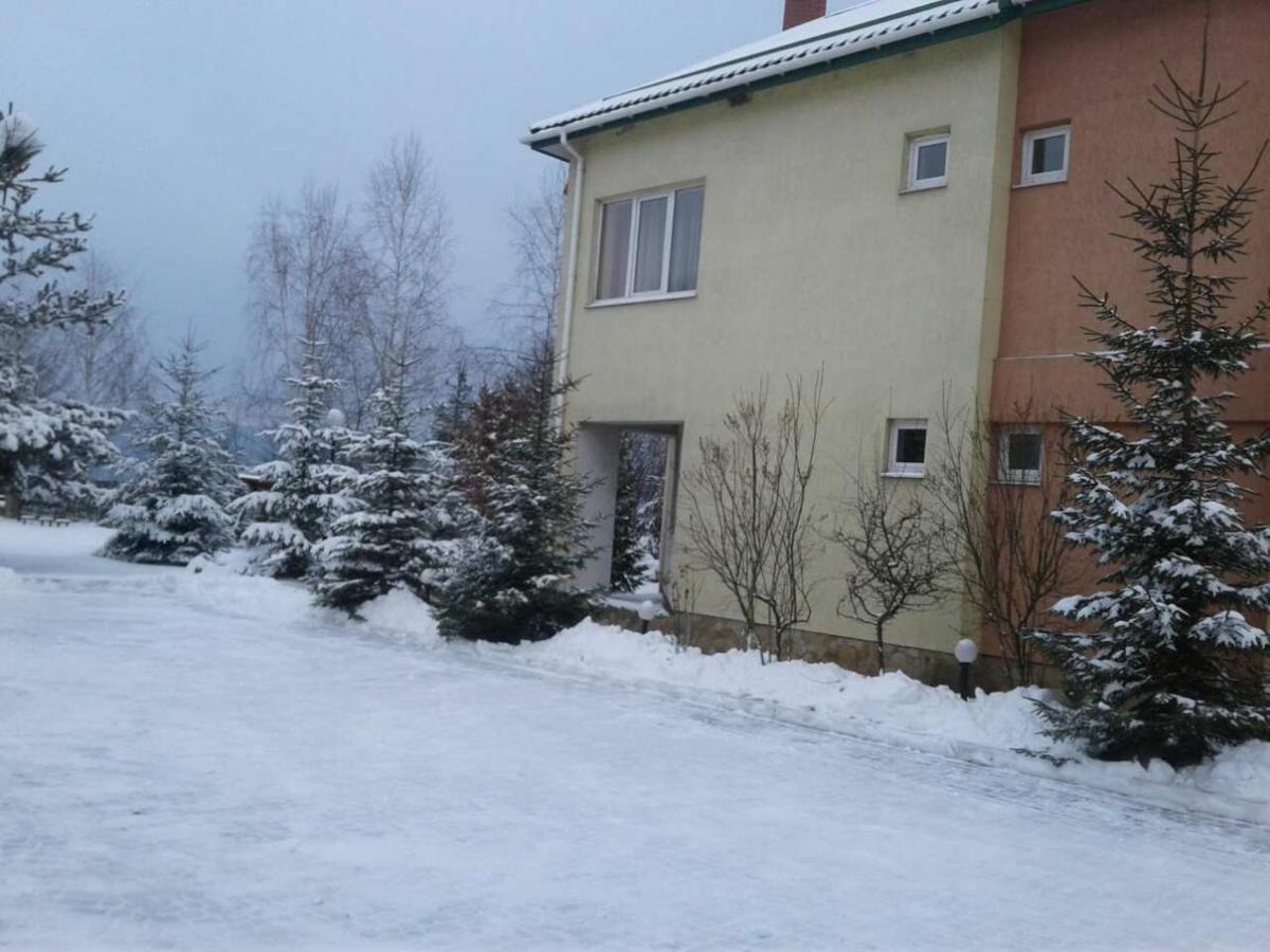 Karpaty Viking Nizhneye Sinevidnoye Exterior foto